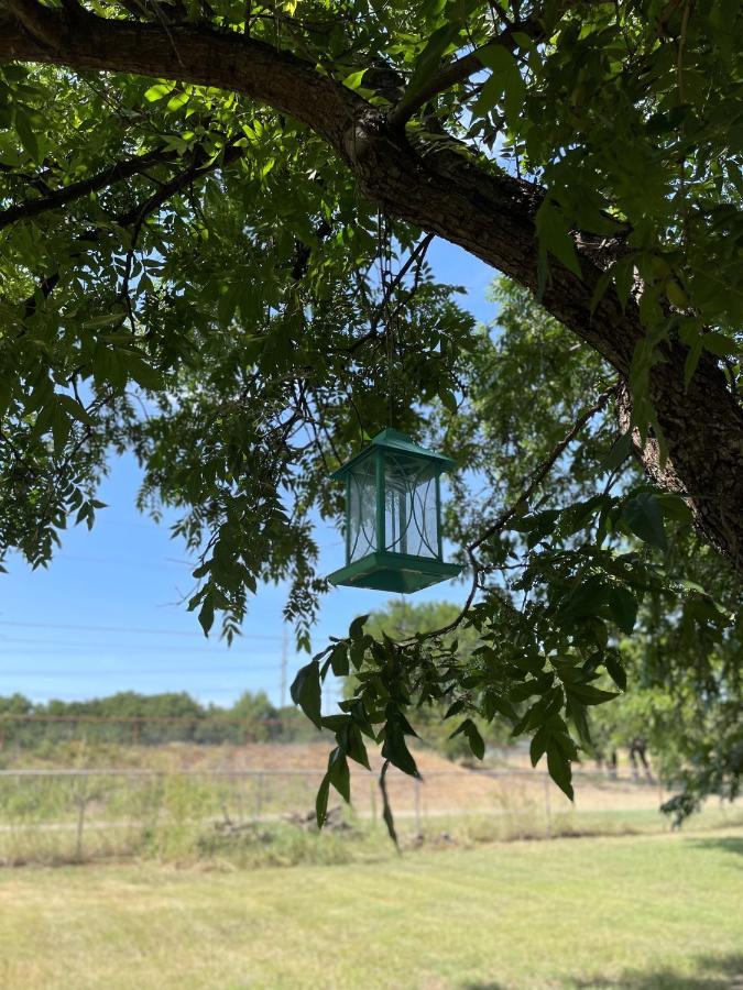Pet Friendly Graham Home Route 66 At The Mistletoe Farm Eksteriør billede